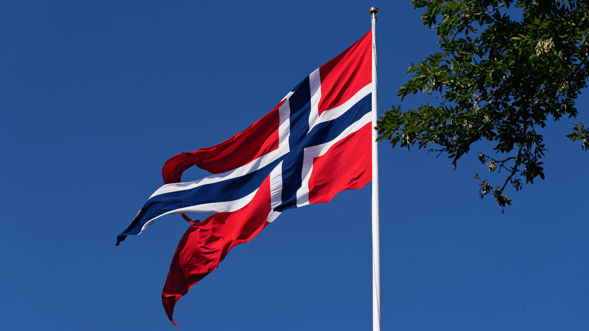 17.mai Middag